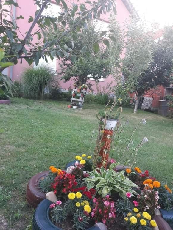 Apartman Drina Berilovac Luaran gambar