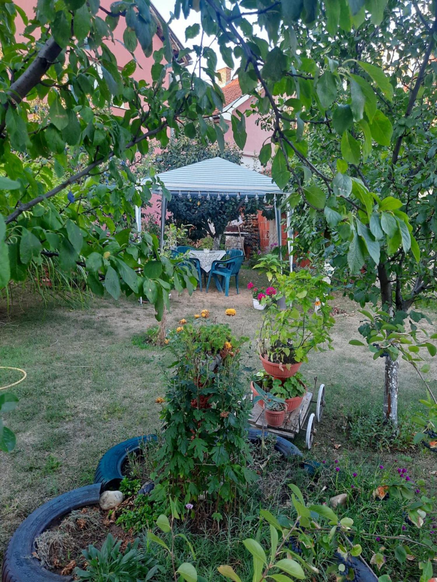Apartman Drina Berilovac Luaran gambar